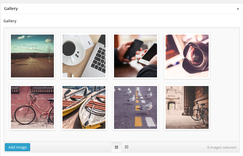 Gallery Fild display with the help of Advanced Custom Fields and Advanced Custom Fields: Gallery Field.