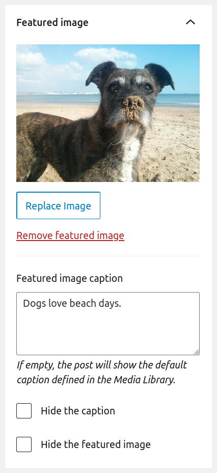 Plugin in the Post editing page.
