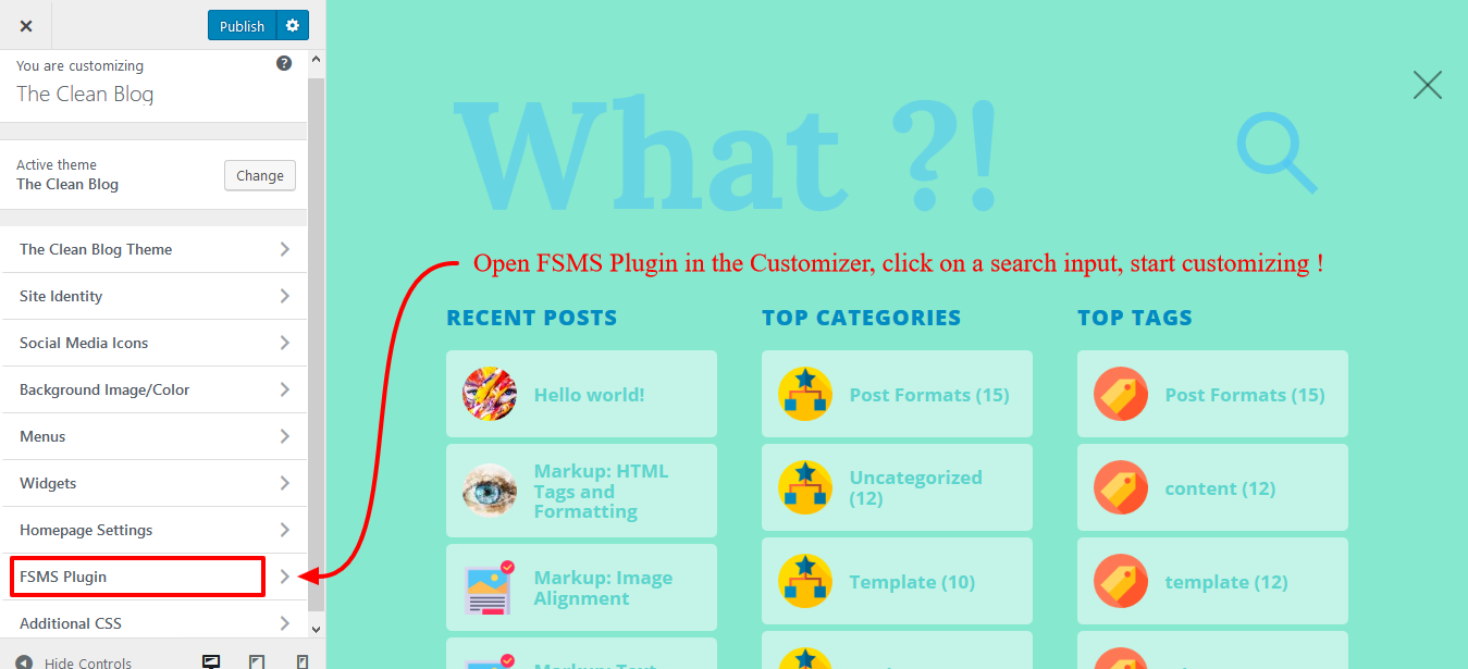 FSMS Plugin in the Customizer.