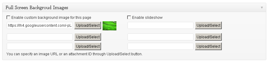 Setting in individual Pages