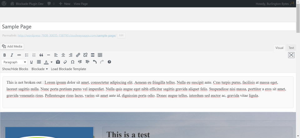 What the full width editor looks like