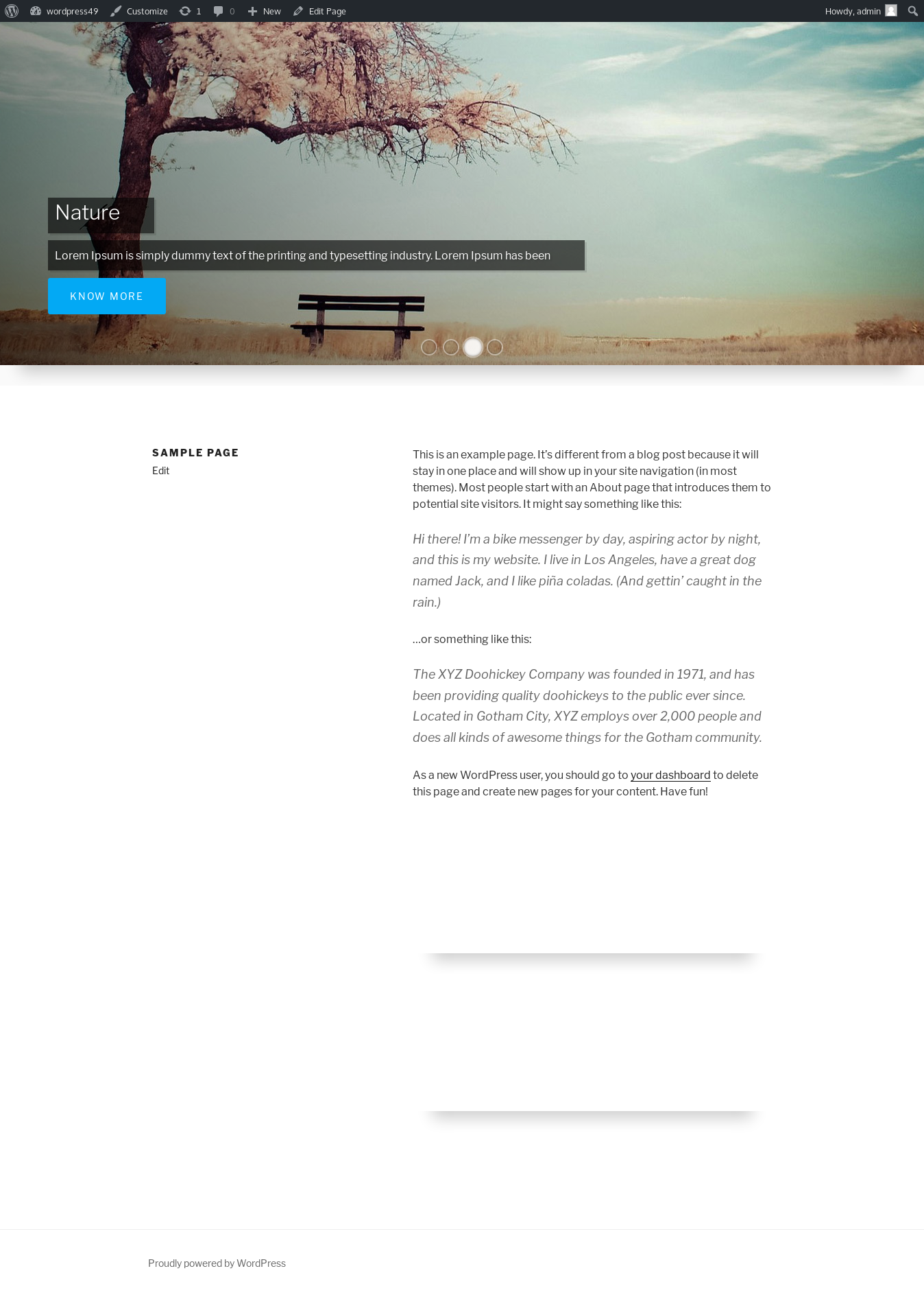 Pro Version Front-end view