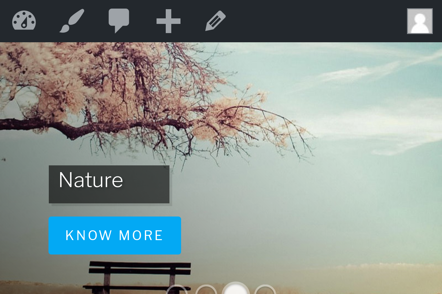 Pro Version Responsive view
