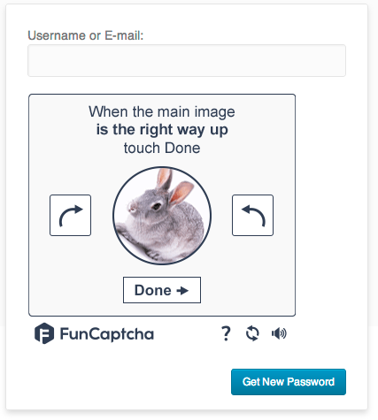 Lost Password Form