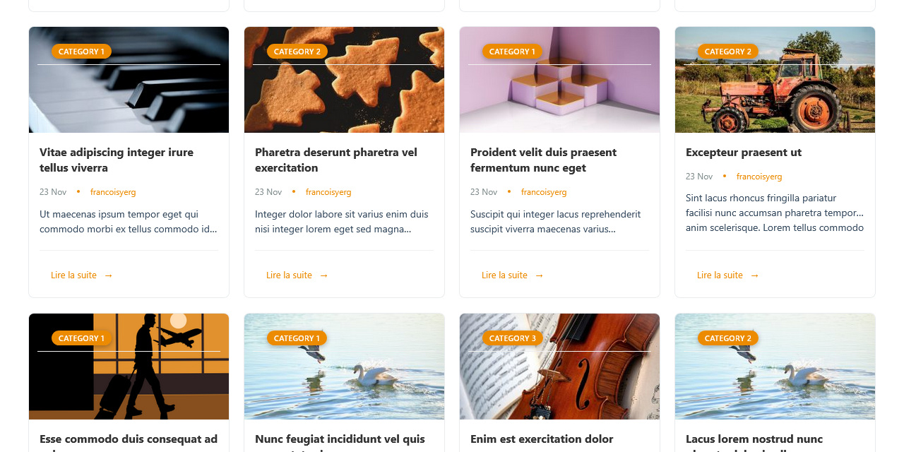 **Works with any content type** – Display posts, portfolios, galleries in stunning layouts