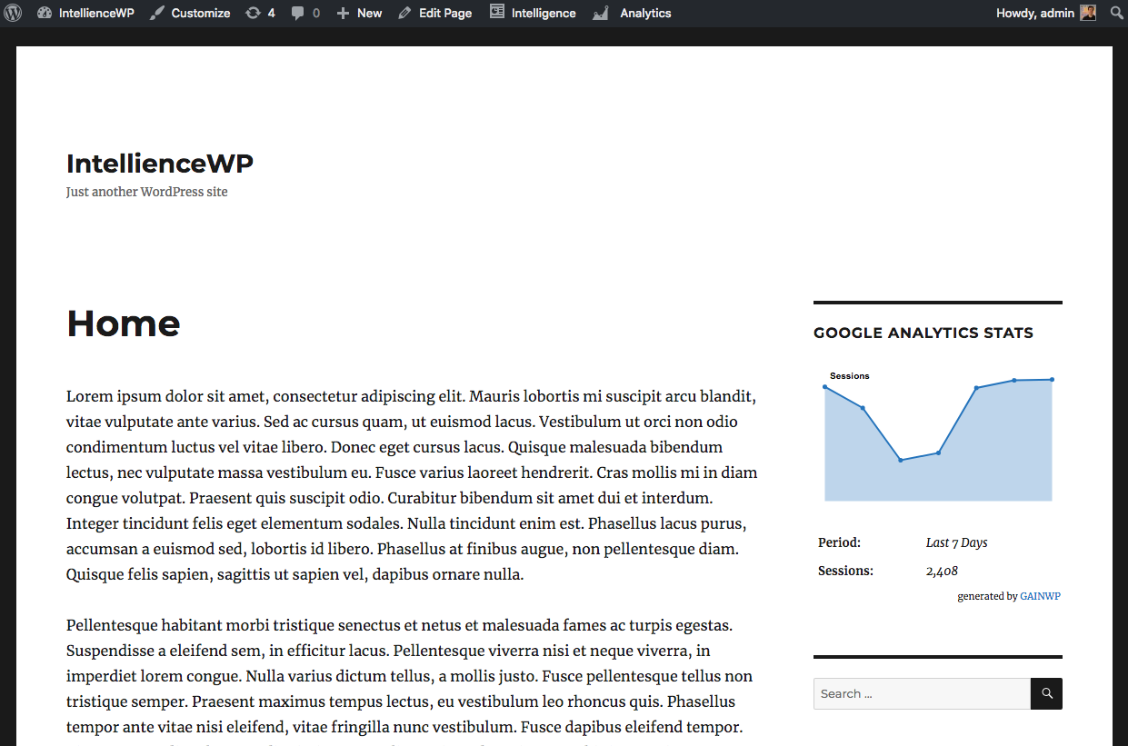 Google Analytics Frontend Widget