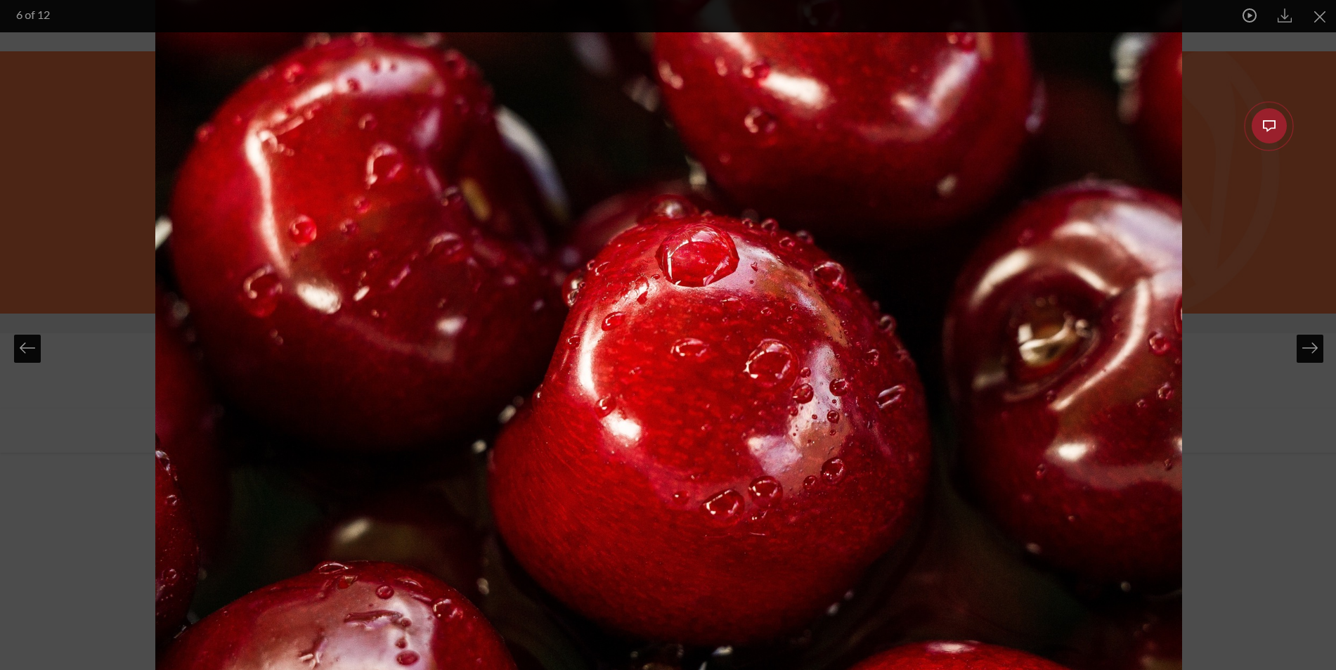 [View 1](https://huge-it.com/wordpress-photo-gallery-demo-1-gallerycontent-popup/#plugin_demo_wrapper) - Content Popup