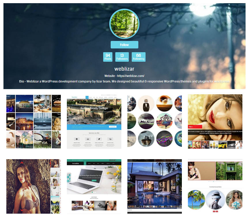 Instagram Gallery With Profile style 1