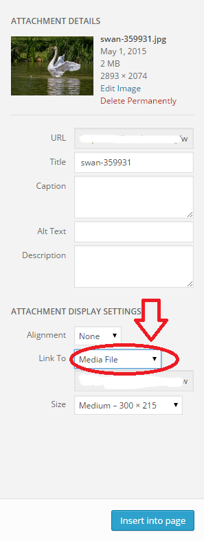 You need configuration images in your editor to use this plugin