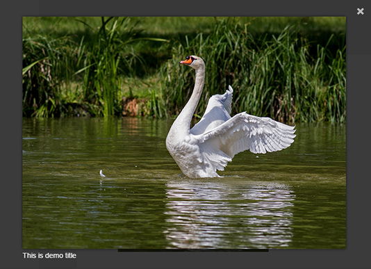 Single image lightbox