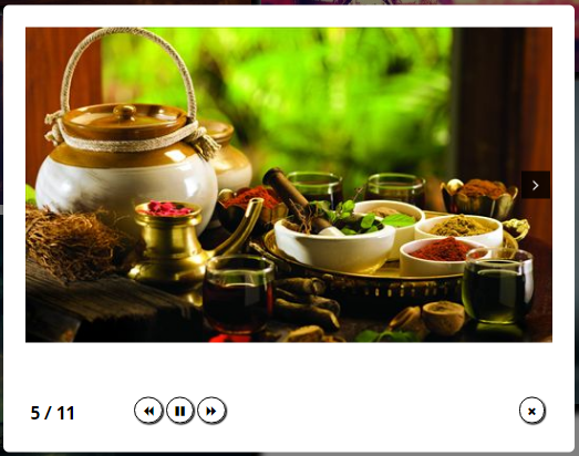 [WordPress Plugin view 2](http://juna-it.com/index.php/gallery-image-responsive-custom-layout-demo) - Custom Layout