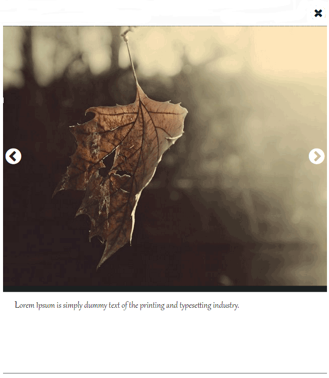 [WordPress Plugin view 5](http://juna-it.com/index.php/gallery-image-responsive-gallery-image-justified-demo/) - Justified Gallery / Lightbox