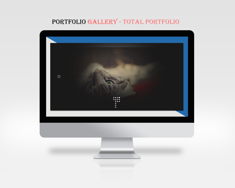 An example of plugin in action (Filterable Grid)