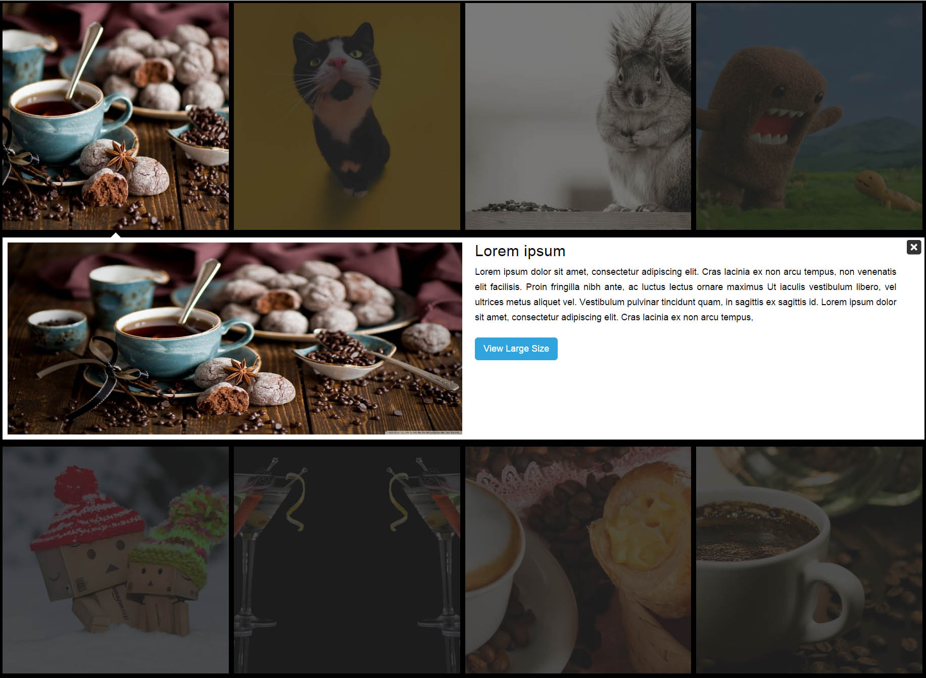 Gallery Pro Grid Detail