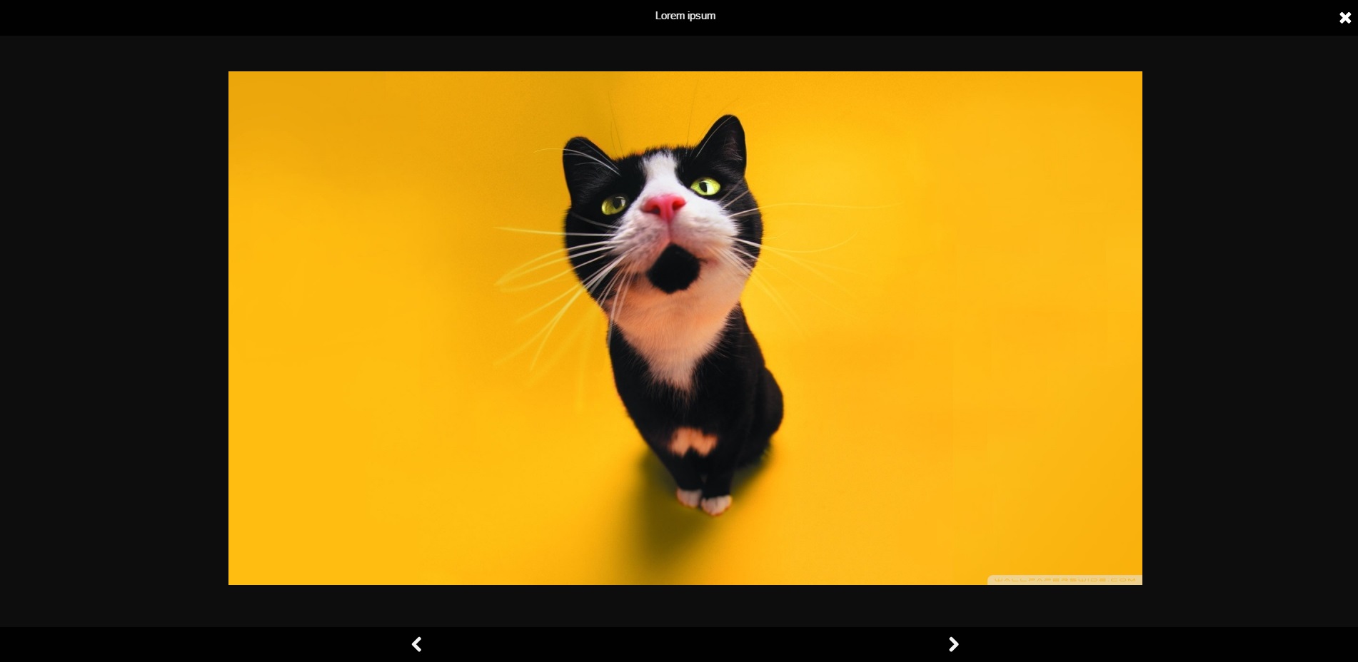Gallery Pro With Lightbox