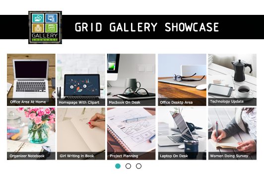 Gallery Showcase - Grid Layout Type