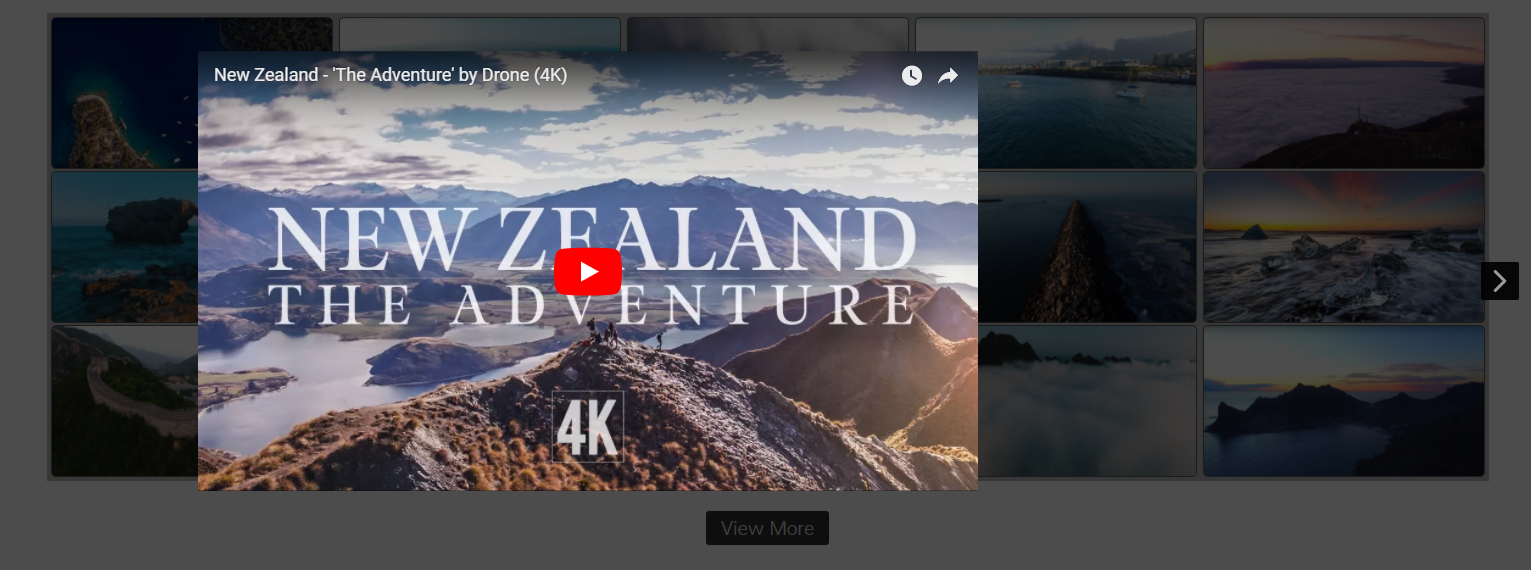 [WordPress Video Gallery Admin Page](https://wordpress.org/plugins/gallery-video/) - Video Gallery - Lightbox Options