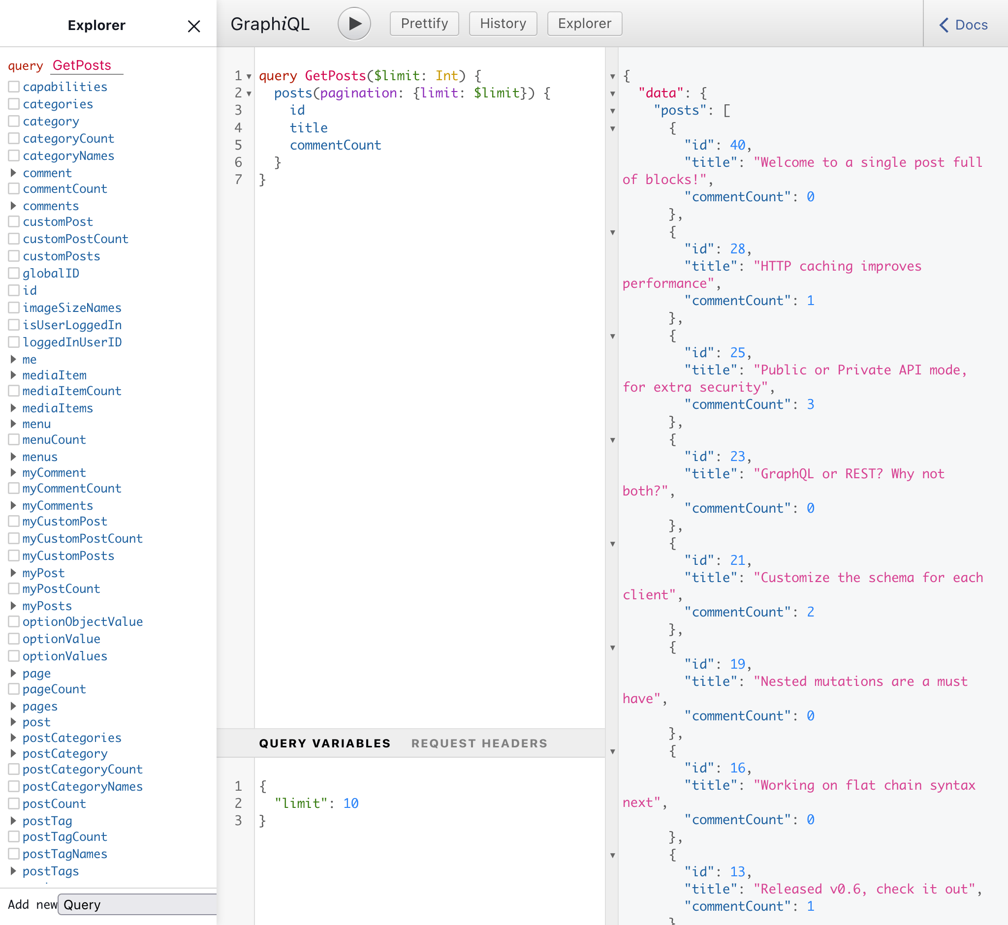 Custom endpoints and Persisted queries can be public, private and password-protected
