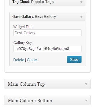 Example of what information this widget requires
