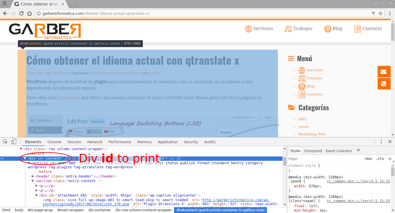Google inspector to know the div id
