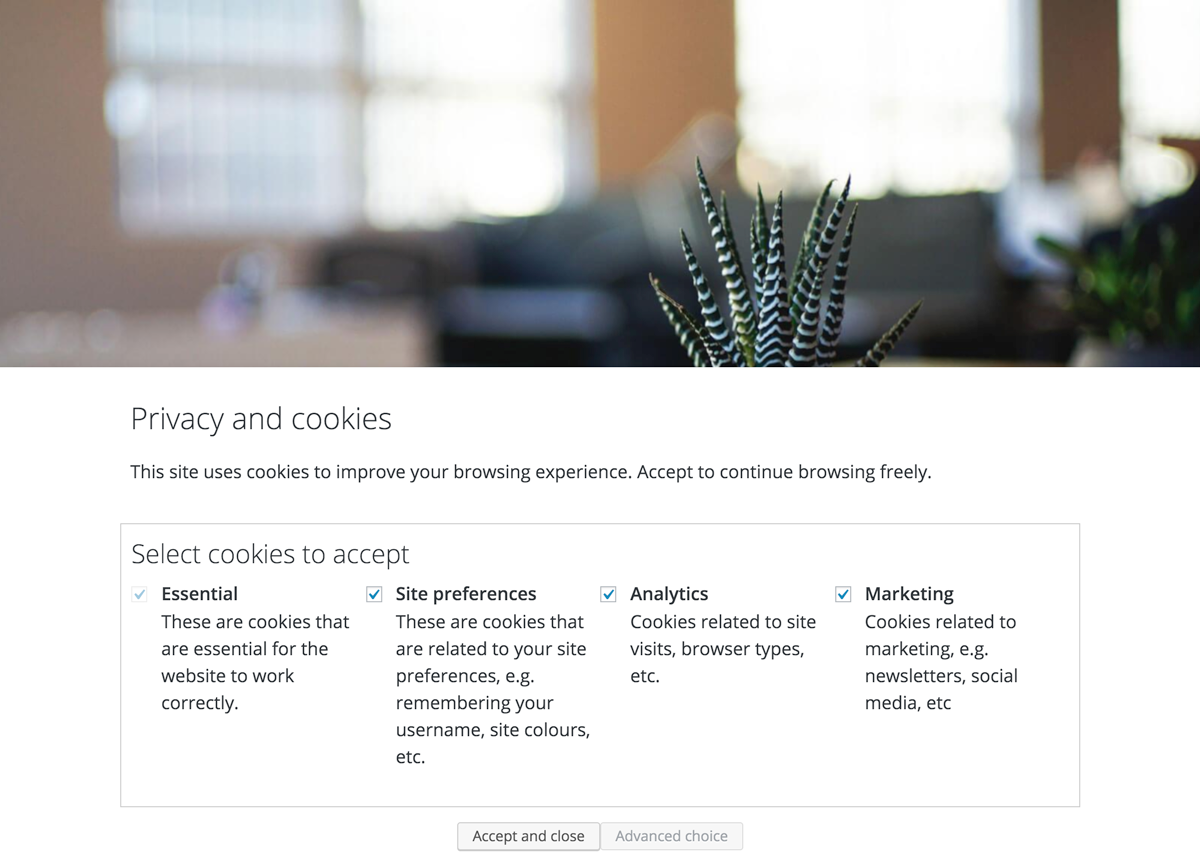 Customize cookies preferences