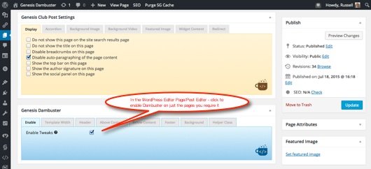 Plugin setting in the Post Editor