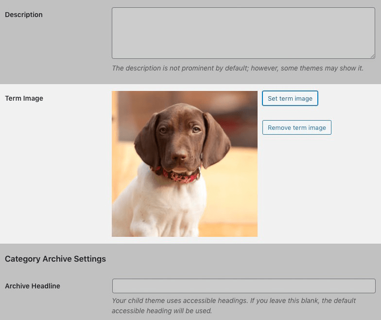 Term edit screen, A new section (highlighted) as it appears after an image has been assigned.