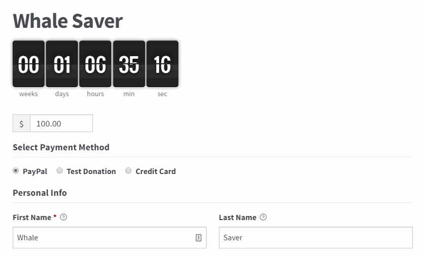 The Form Countdown Clock on a donation form.