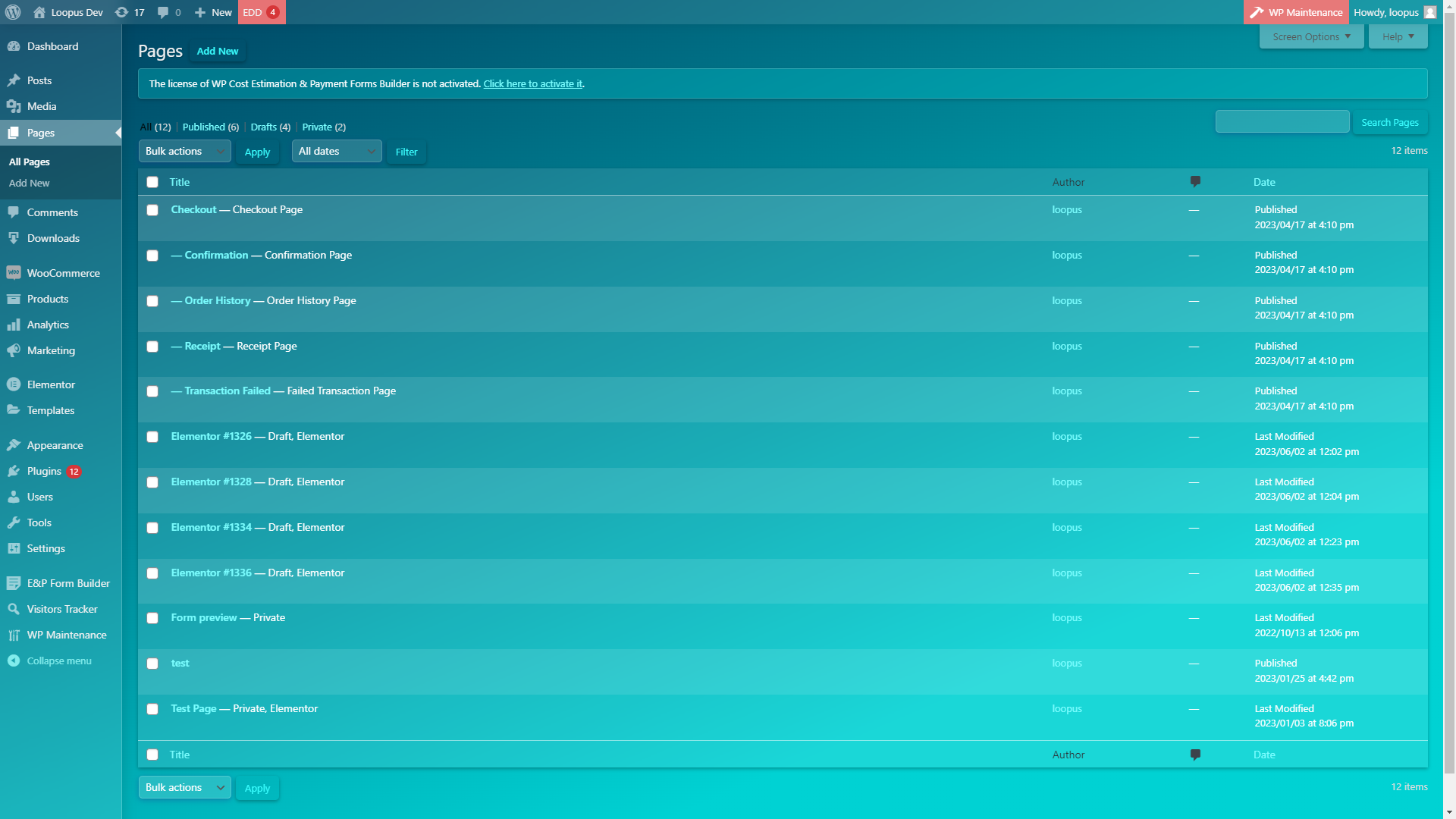 This screen shot shows the pages list