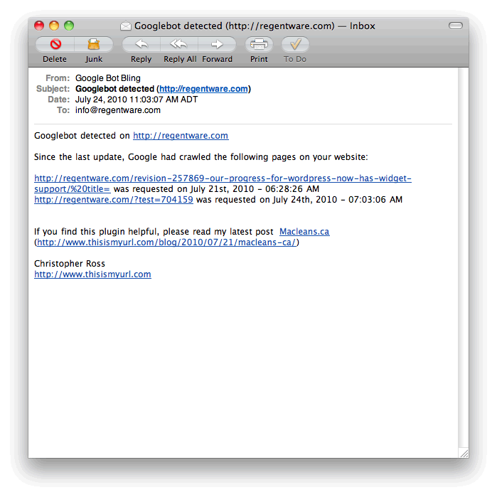 An example of the Google Bot Bling email