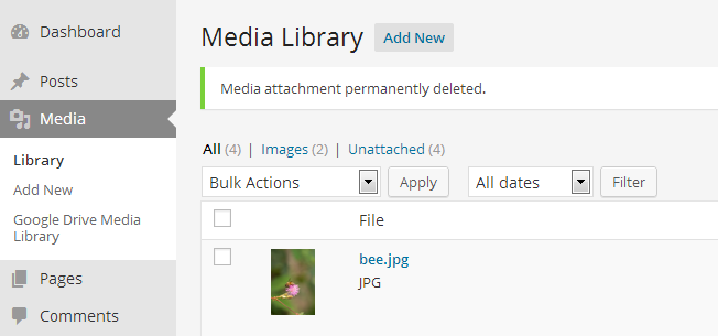 Google Drive file in Media Library: detail preview.