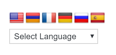 Flags and dropdown language selector