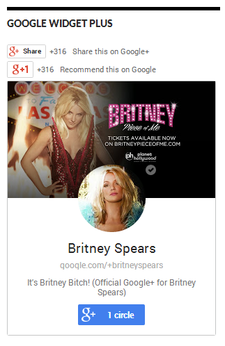 Widget Frontend Screenshot