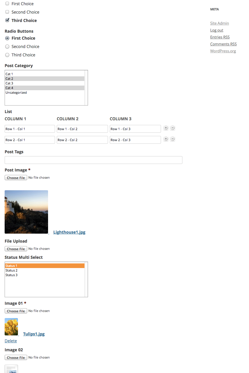 A form on the front end. This just demonstrates the image/file capabilities.