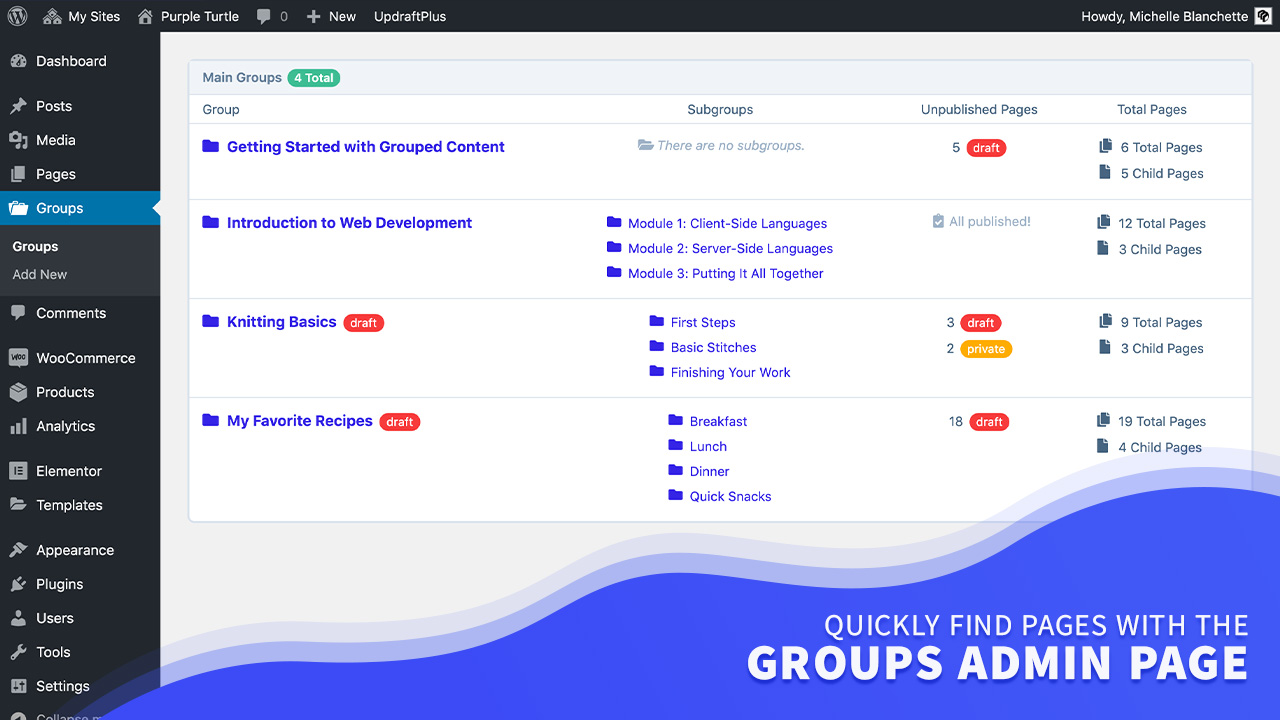 **View Page Groups.** Quickly see top-level details and effortlessly navigate through your site’s pages.