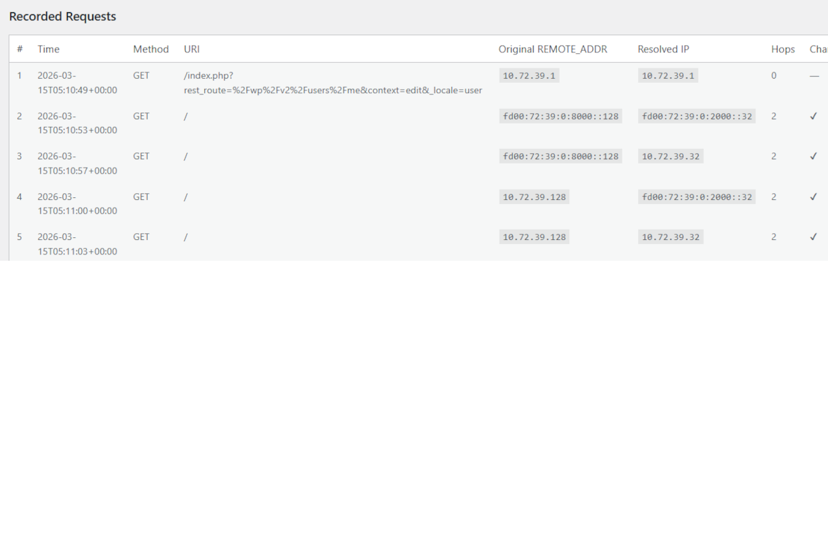 Diagnostics with IPv6 — shows IPv6 addresses and protocol translation.