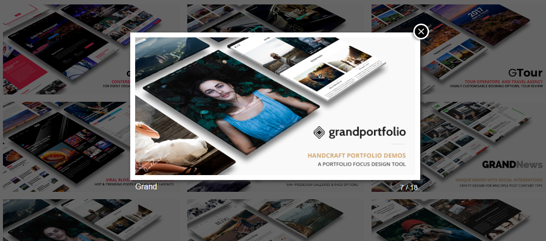 GS Envato Portfolio output by <strong>THEME 11 : PROFILE</strong> after adding 2 shortcodes [gs_envato_author userid="goodlayers"] &