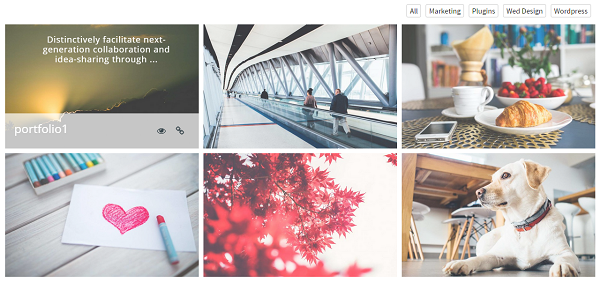 GS Portfolio output on pages/post after adding shortcode [gs_portfolio hover_effect="effect-zoe" popup_effect="mfp-zoom-out"] At Pro version 5 different hover & popup effects available.