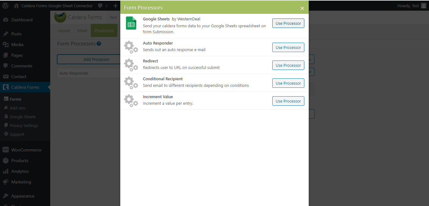 Adding googlesheet processor in Caldera Forms