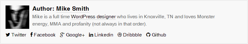 This is how the author box displays in the Clarity WordPress theme