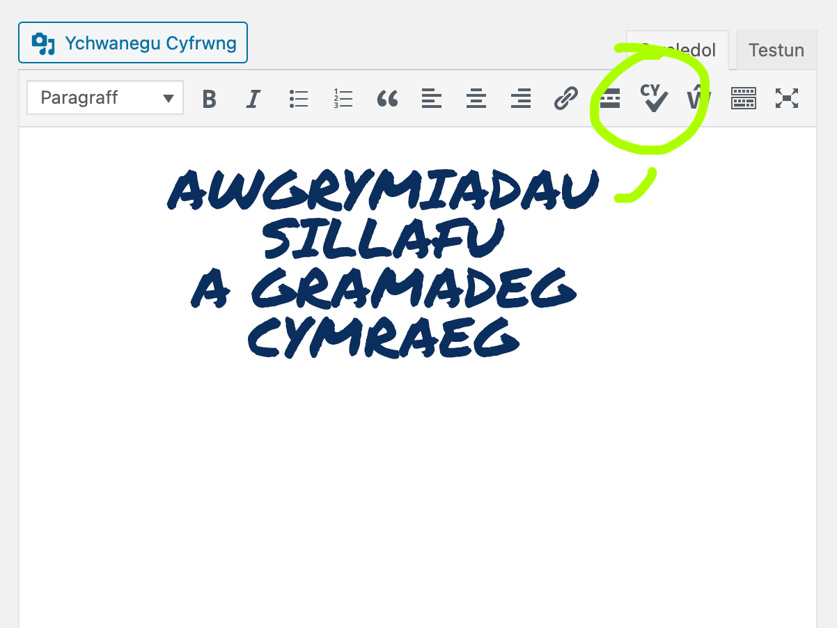 Defnyddiwch y botwm gwirydd i ddangos awgrymiadau sillafu a gramadeg.