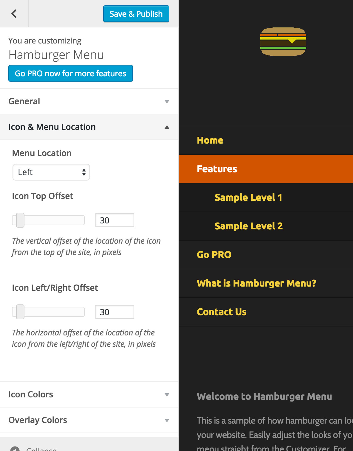 Anoter preview of the Customizer settings