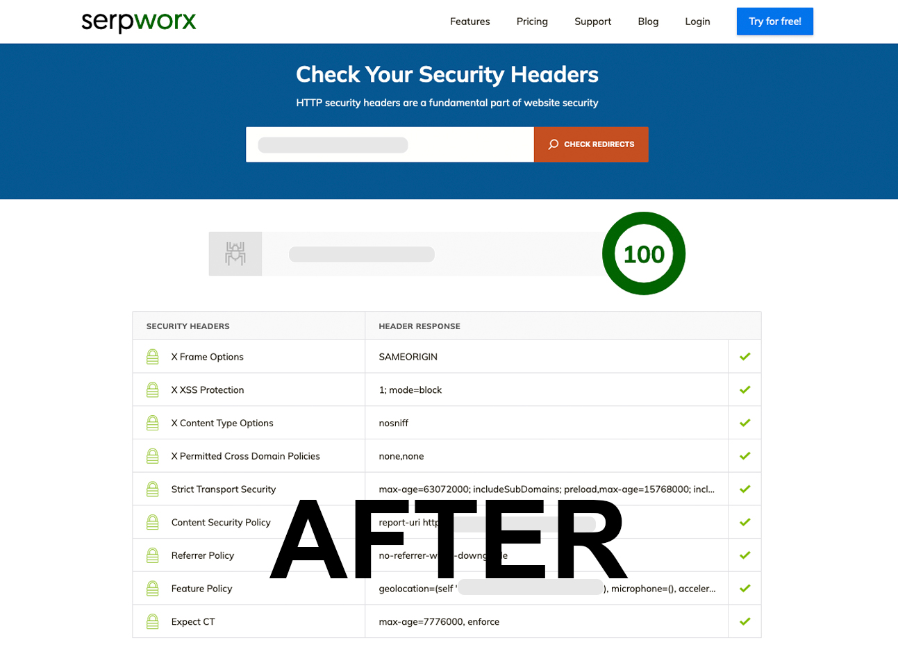 Check HTTP Security Headers - Serpworx (AFTER)