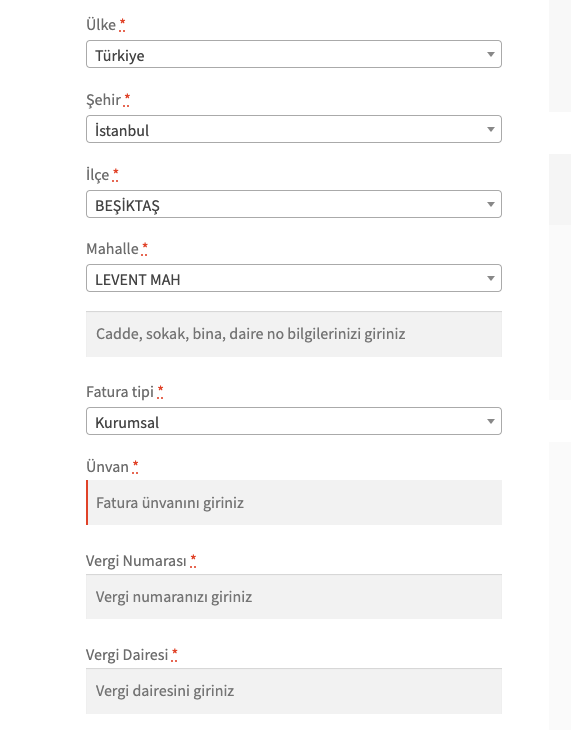 Kurumsal vergi bilgileri