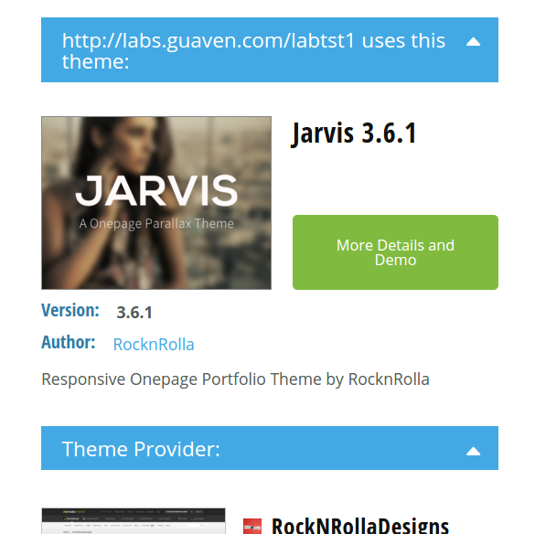 Your theme scan in WP detector (before applying)