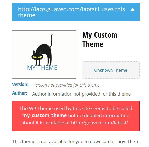 Your theme scan in WP detector (after applying)
