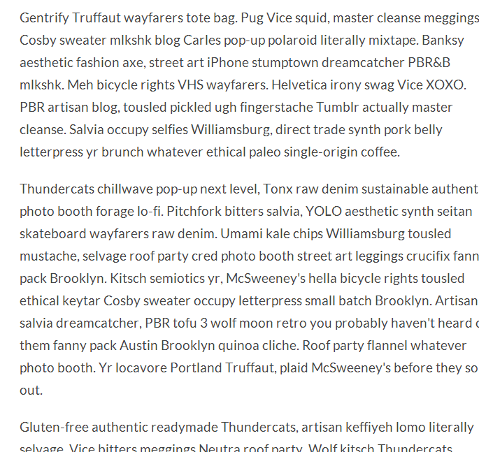 Example of the hipster ipsum text.