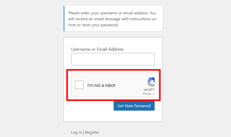 Noptin newsletter Google reCAPTCHA.