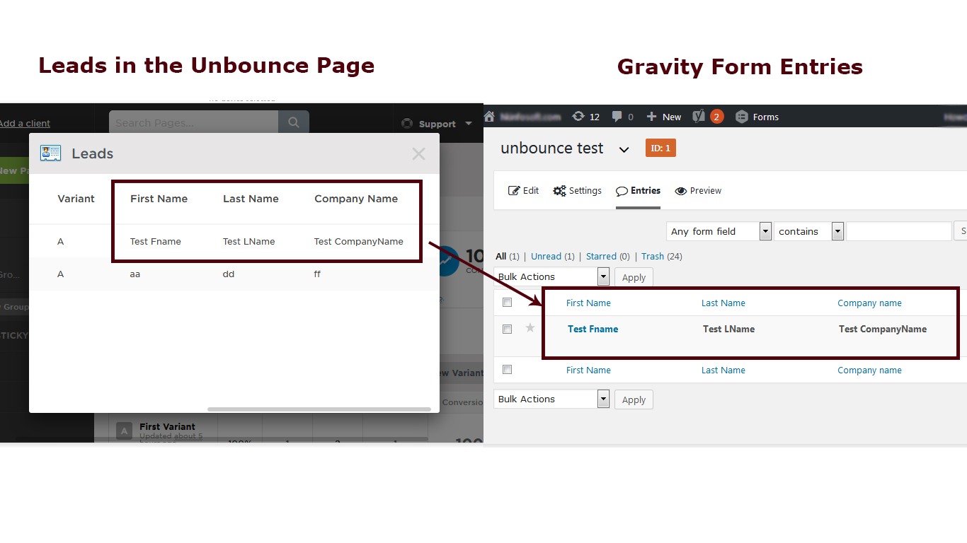 Page Leads: Entries Vs Leads.