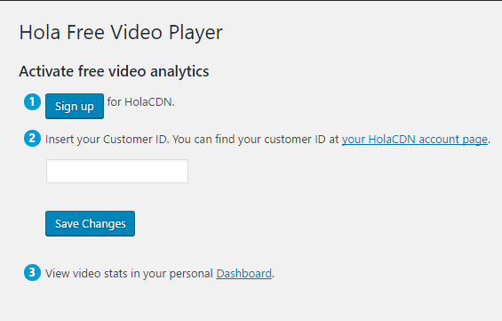 Video player logo in post editor